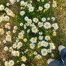Kajal profil fotoğrafı