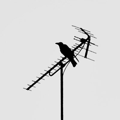 ○'s profile picture