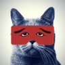 にわか猫 的头像