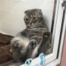 Фото профиля エピオン
