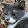Sam profil fotoğrafı