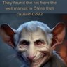Truth About Covid 的头像