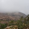 Profilbild von مسفر الروقي