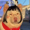 Memphis's profile picture