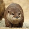 Profilbild von kaba