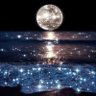 Profilbild von Moonlight555