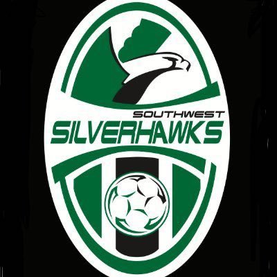 LSW Girls Soccer's profile picture