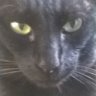 SxP/Oxn/Ro's profile picture