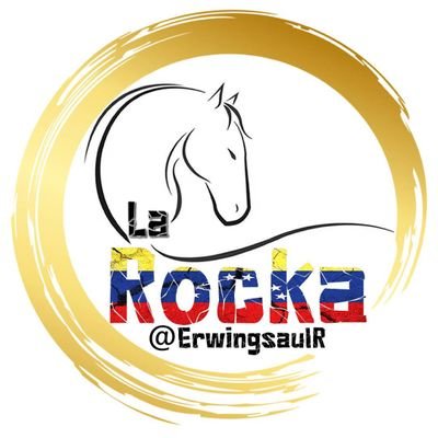 Erwing Saul La Rocka's profile picture