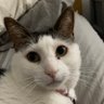 Profilbild von Nick