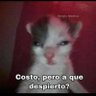 Manuel Padron profil fotoğrafı
