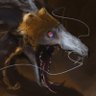 Nyxinder's profile picture
