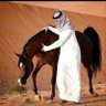 ابوثامر 的头像