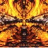 Turkish Delight's profile picture