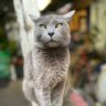 CarW13 profil fotoğrafı