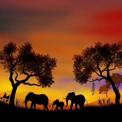 Kush_zw's profile picture