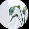 Rana's profile picture