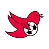 naga hills's profile picture