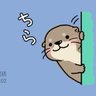 かわうそ profil fotoğrafı