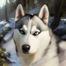 Stejambo 🇦🇶's profile picture