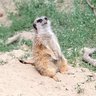 Adri' 🍉 profil fotoğrafı