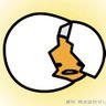 km's profile picture