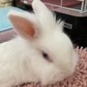 Berry's profile picture