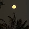 Abo Khalid's profile picture
