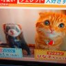 サッカー大好き(=ﾟωﾟ=) profil fotoğrafı