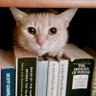Фото профиля bkmbooks