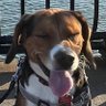 E's profile picture