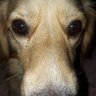 BengiAlec profil fotoğrafı