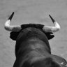 Profilbild von TSXVPicks