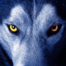 Lobo Cariri-Juá profil fotoğrafı