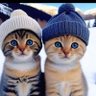 Profilbild von Zişan 5772@#:)