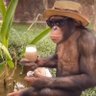 Roro's profile picture