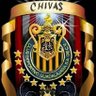 pedro's profile picture