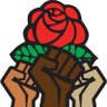 Profilbild von Socialist Sherron ☭
