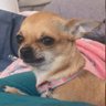 ViHugo369's profile picture