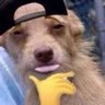 Adreek's profile picture