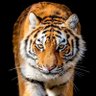 فـهـد الأسـمـري's profile picture