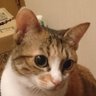 新岸's profile picture