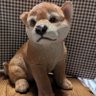 Profilbild von スパチュラ