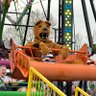 Nittany Lion's profile picture