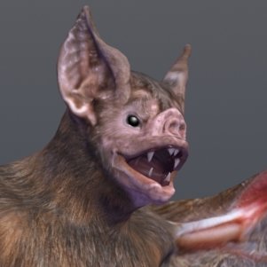 demonflyingfox's profile picture