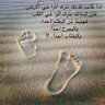 Profilbild von يحيى الحجاجي