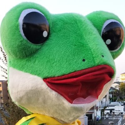 🍉狭山まんなか世代🕊️🐇's profile picture