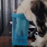 Narkiff 的头像