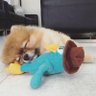 Profilbild von LoveMelvinTyler