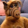 Profilbild von Alf on Mets
